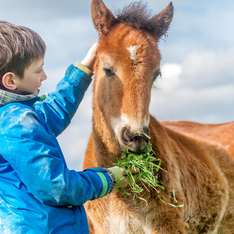 STEM & Natuur in Leuven